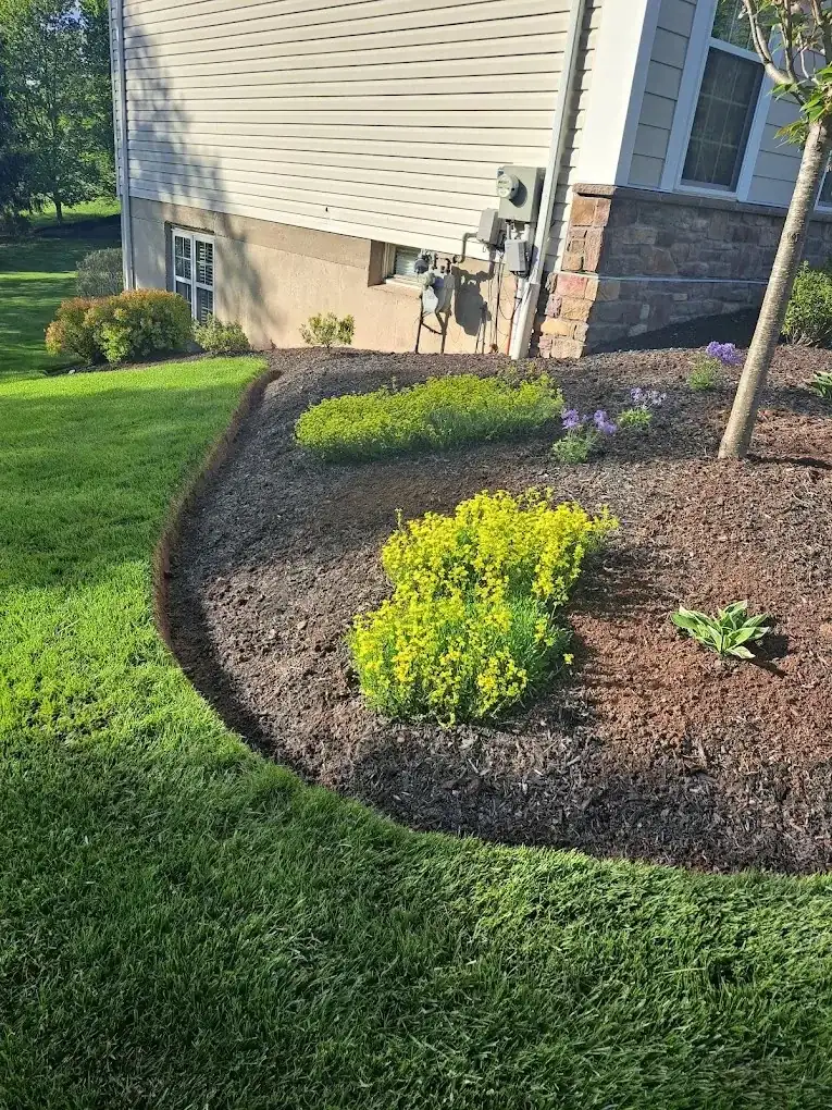 Freshly edged brown mulch bed with flowering perennials along the side of a house